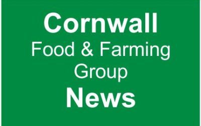 CFFG Don’t Think There’s a Food Security Crisis